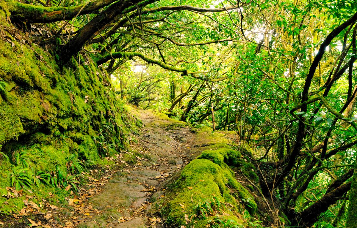 Instagram spot Tenerife